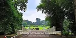 Explore Bogor Botanical Garden, the home of thousands of plants with massive lawns for picnics, a view of Bogor Presidential Palace, and the zoology museum.