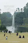 Explore Cibodas Botanical Garden, where you can enjoy a picnic on a vast lawn, play water in a stream, ride a horse, enjoy cherry blossom and see corpse flower.