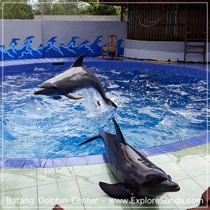 Batang Dolphin Centre Batang Dolphin Centre
