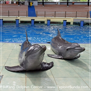 Batang Dolphin Centre Batang Dolphin Centre