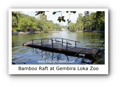 Crossing the Lake using Bamboo Raft at Gembira Loka Zoo