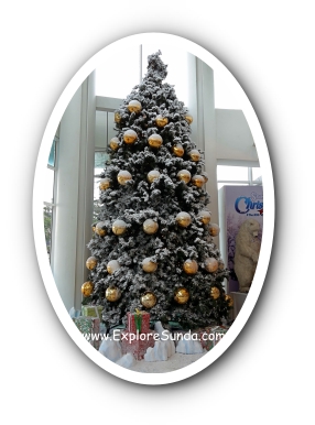 One of the Extremely Large Christmas Trees at Living World Mall One of the Extremely Large Christmas Trees at Living World Mall