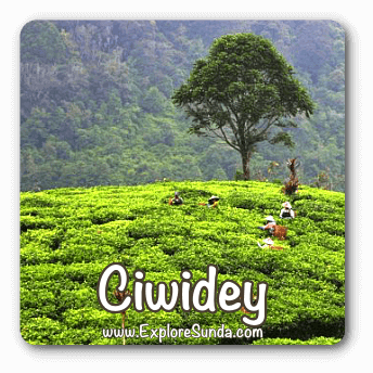 Things to do in Ciwidey, Bandung