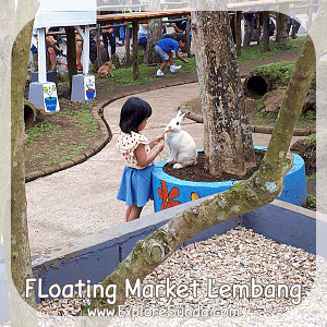 Feeding the rabbit at Rabbit Garden - Floating Market Lembang.