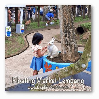 Parks and Gardens: Feeding a bunny at Floating Market Lembang, Bandung.