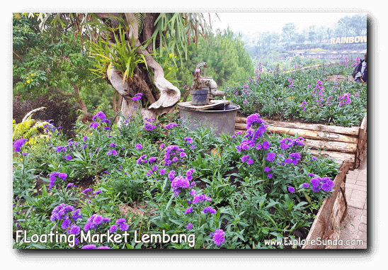 Flower bushes at Rainbow Garden in Floating Market Lembang. Flower bushes at Rainbow Garden in Floating Market Lembang.