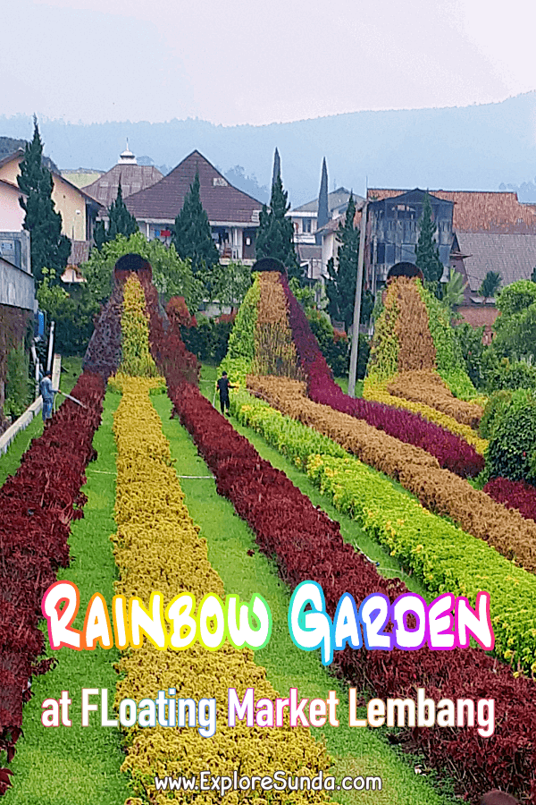 Rainbow garden