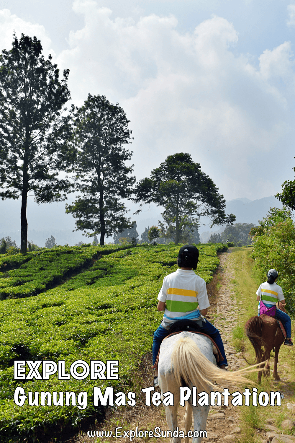Explore Gunung Mas Agro-tourism, the tea plantation in Puncak Pass: breath the fresh mountain air, ride an ATV or a horse, and take tons of  pictures :) | #ExploreSunda #GunungMas #PuncakPass