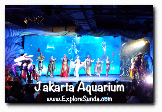 The Pearl of the South Sea performance at Jakarta Aquarium. The Pearl of the South Sea performance at Jakarta Aquarium.