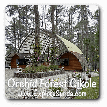 Orchid Forest Cikole, Lembang