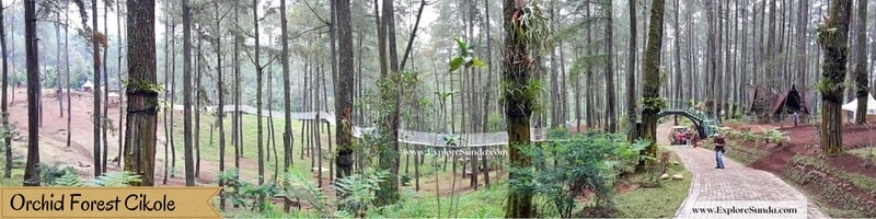 Woodbridge at Orchid Forest Cikole, Lembang. Woodbridge at Orchid Forest Cikole, Lembang.