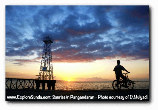 Start your day in Pangandaran beach by watching sunrise in the East coast.