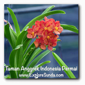 Taman Anggrek Indonesia Permai, Jakarta Taman Anggrek Indonesia Permai, Jakarta