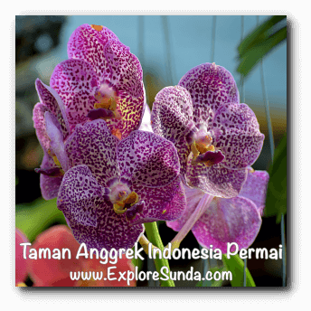 Taman Anggrek Indonesia Permai, Jakarta Taman Anggrek Indonesia Permai, Jakarta