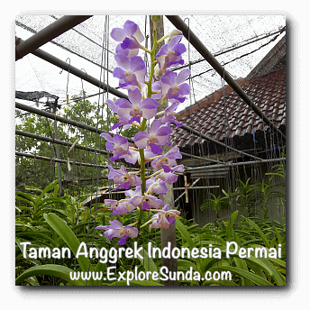Taman Anggrek Indonesia Permai, Jakarta Taman Anggrek Indonesia Permai, Jakarta