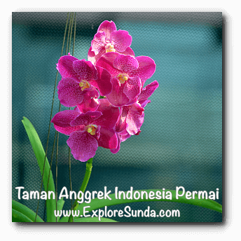 Taman Anggrek Indonesia Permai, Jakarta Taman Anggrek Indonesia Permai, Jakarta