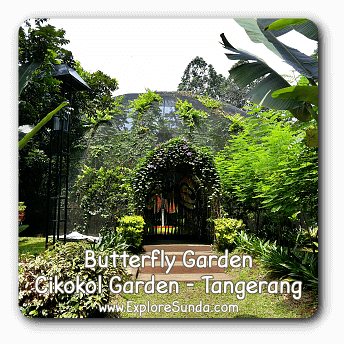 Butterfly Garden at Cikokol City Park, Tangerang.