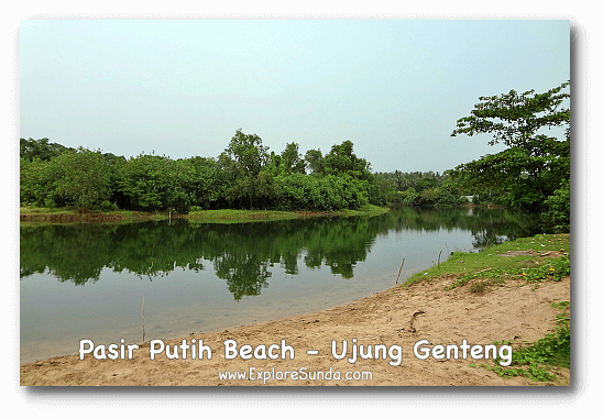 Pasir Putih Beach [White Sandy Beach] - Ujung Genteng.
