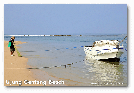 A fisherman caught fish with his net at Ujung Genteng beach. A fisherman caught fish with his net at Ujung Genteng beach.