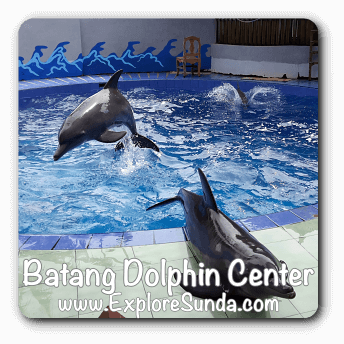 Batang Dolphin Centre