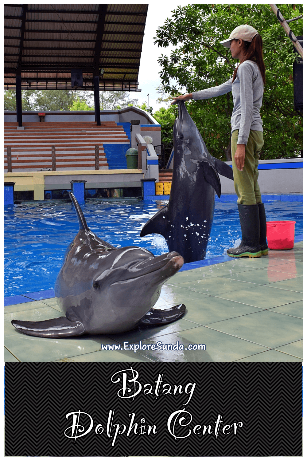 Explore Batang Dolphin Centre | A dolphin conservatory, a branch of Taman Safari Indonesia | Watch the cute dolphins play and perform :) | #ExploreSunda