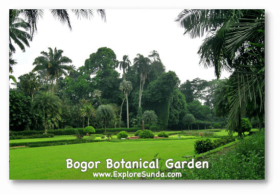 Parks and gardens in the land of Sunda: Bogor Botanical Garden