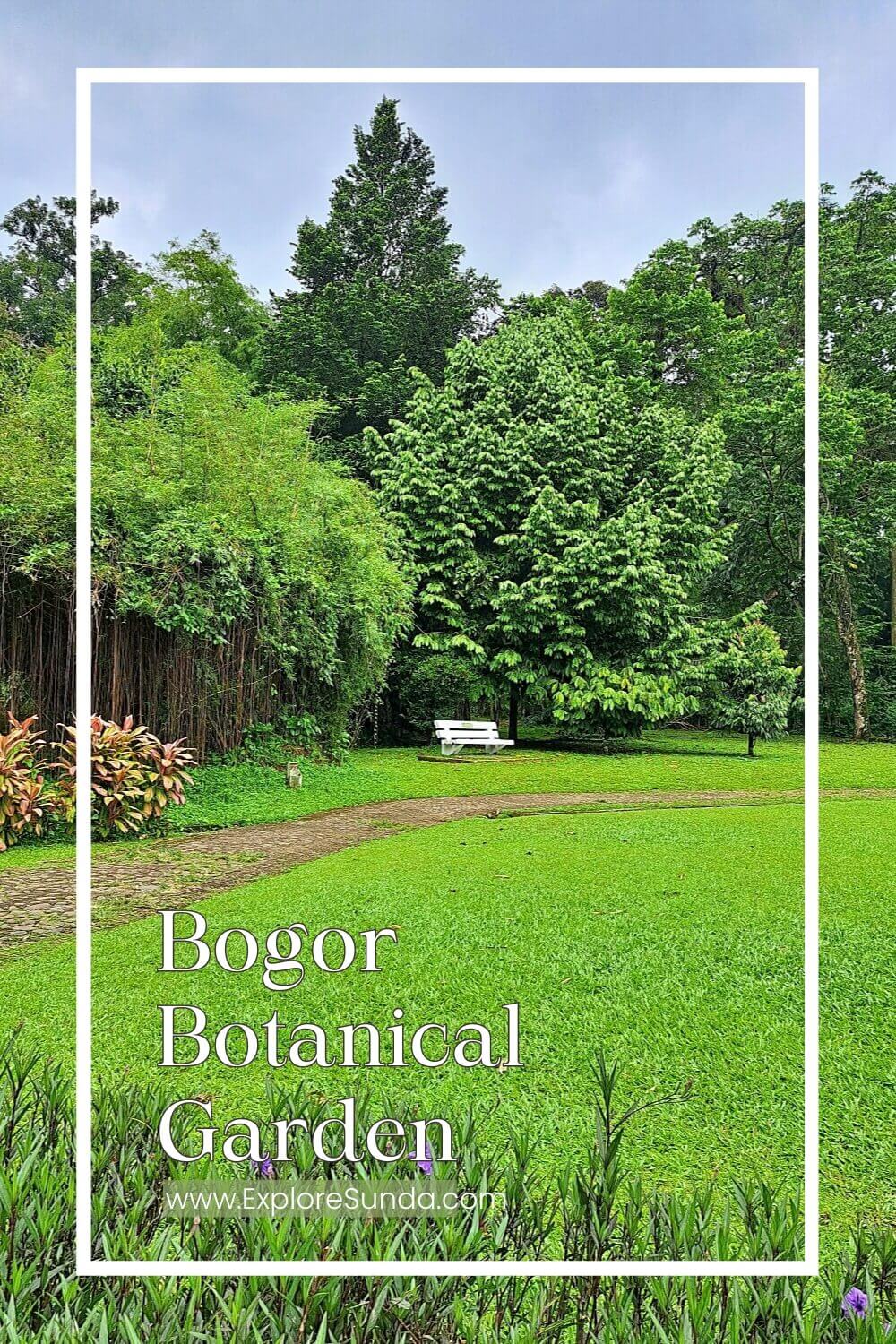Massive lawns at Bogor Botanical Garden (Kebun Raya Bogor), a great place to enjoy your day. | #BogorBotanicalGarden #KebunRayaBogor #ExploreSunda.com