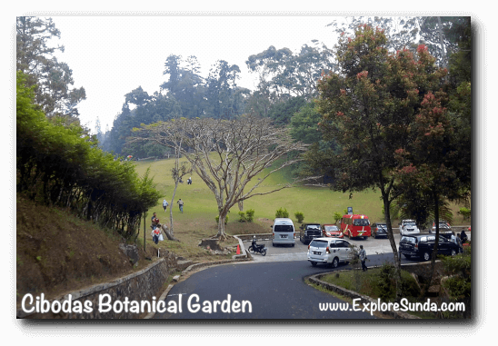 Cibodas Botanical Garden, Puncak Cibodas Botanical Garden, Puncak