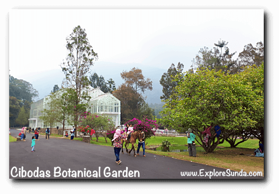 The Glass House in Cibodas Botanical Garden, Puncak The Glass House in Cibodas Botanical Garden, Puncak