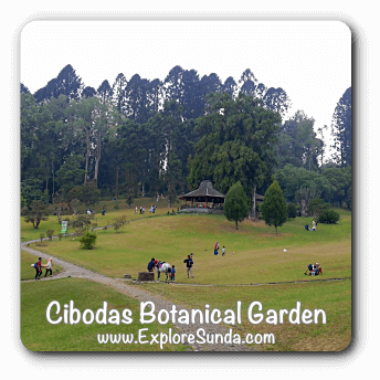 CIbodas Botanical Garden.
