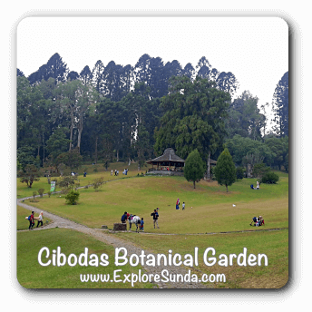 Cibodas Botanical Garden, Puncak