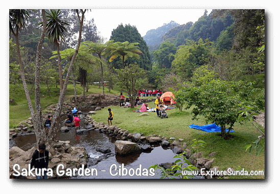 Cibodas botanical garden Cibodas botanical garden