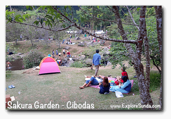 A picnic at Sakura Garden - Cibodas Botanical Garden A picnic at Sakura Garden - Cibodas Botanical Garden