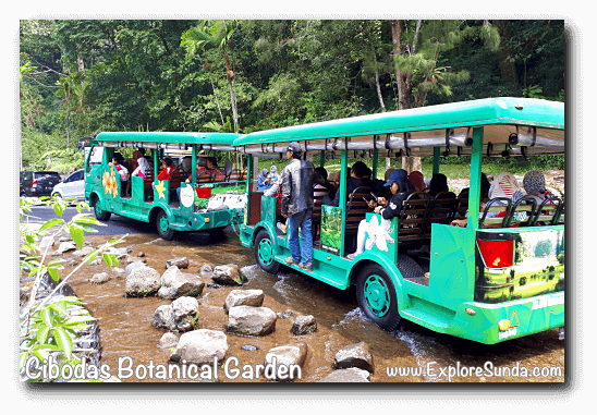 Shuttle bus in Cibodas Botanical Garden, Puncak Shuttle bus in Cibodas Botanical Garden, Puncak