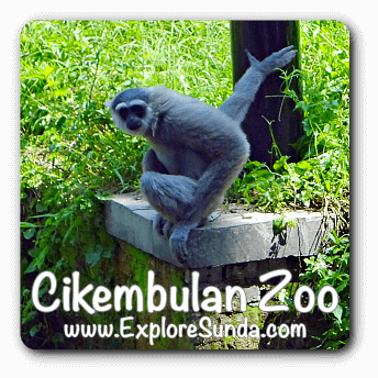 Cikembulan zoo, Garut, West Java