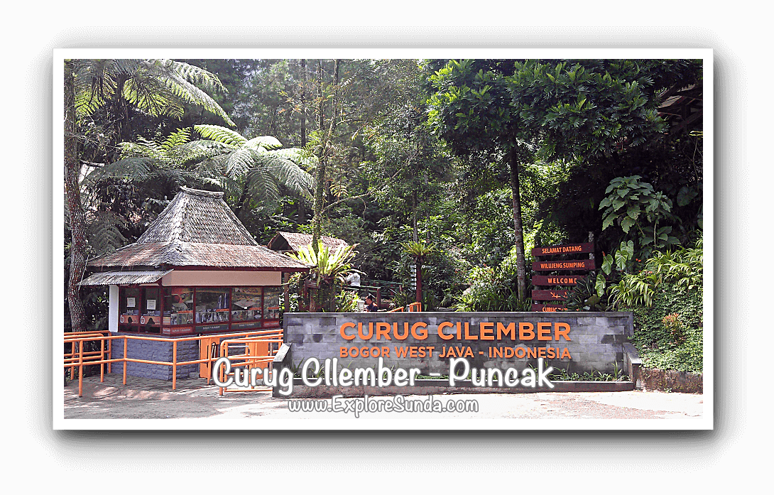  Hiking in a forest, looking for a hidden treasure: what would you find in Curug Cilember, Puncak? Seven waterfalls and a butterfly garden!