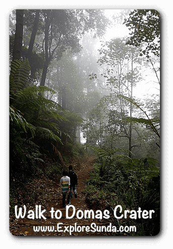 Trail to Domas Crater, Tangkuban Perahu - Cikole, Lembang