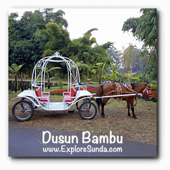 Horse cart ride at Dusun Bambu,  Cisarua - Lembang