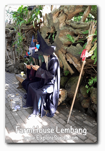 Witches in FarmHouse Lembang ;-) Witches in FarmHouse Lembang ;-)