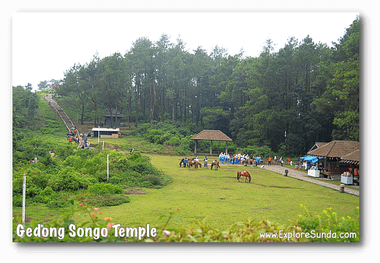 The field below the ninth temple, where religious ceremonies are held. The steep stairs on the left will lead you to the ninth temple. The field below the ninth temple, where religious ceremonies are held. The steep stairs on the left will lead you to the ninth temple.