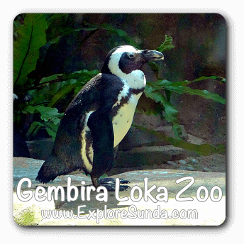 Gembira Loka Zoo, Yogyakarta