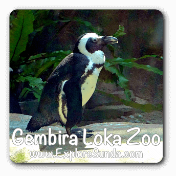 Gembira Loka Zoo