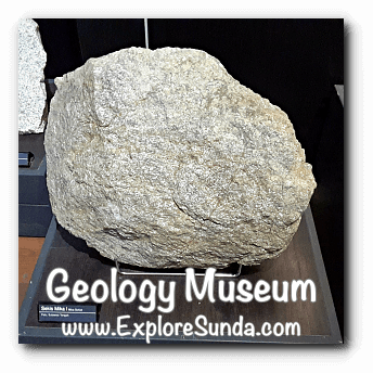 Mica Schist from Palu, Central Sulawesi, displayed in Geology Museum, Bandung