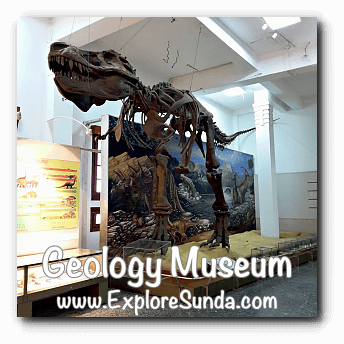 A replica of T-rex in Geology Museum, Bandung