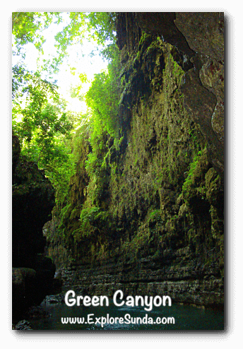 The beauty of Green Canyon, Pangandaran The beauty of Green Canyon, Pangandaran