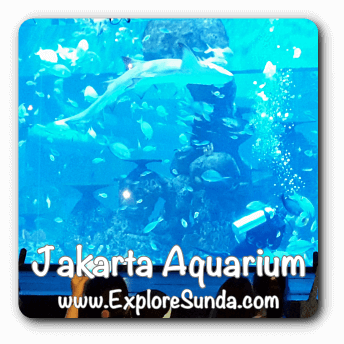 Jakarta Aquarium in Neo Soho Mall, West Jakarta