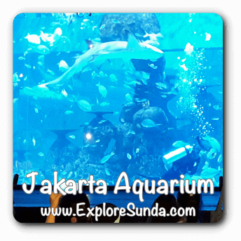 Jakarta Aquarium