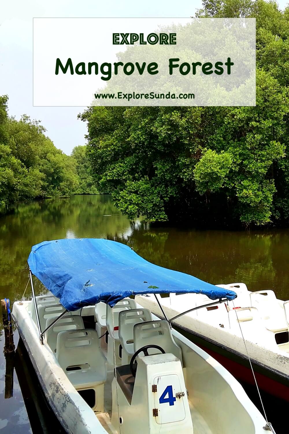 Explore the mangrove forest at Taman Wisata Alam Angke Kapuk, Jakarta | #ExploreSunda