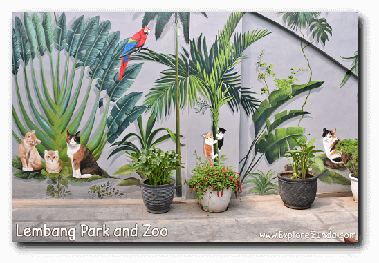 Cat murals in front of the Cat Cafe in Lembang Park and Zoo. Cat murals in front of the Cat Cafe in Lembang Park and Zoo.