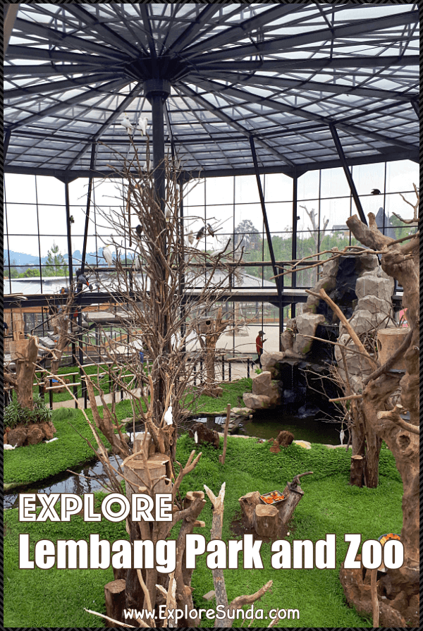 Things to do in Bandung: Explore Lembang Park and Zoo | Visit the aviary inside Lembang Zoo, take selfies with the birds and feed them | #ExploreSunda #LembangParkAndZoo
